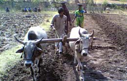 Rural Development NGO